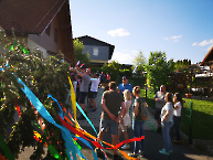 Maibaum - 30.04.2024